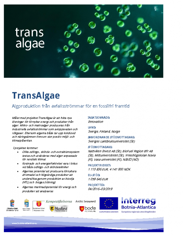 TransAlgae-affisch_sv