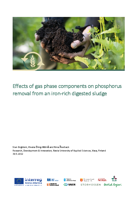 2022 Effects of gas phase  components on phosphorus removal
